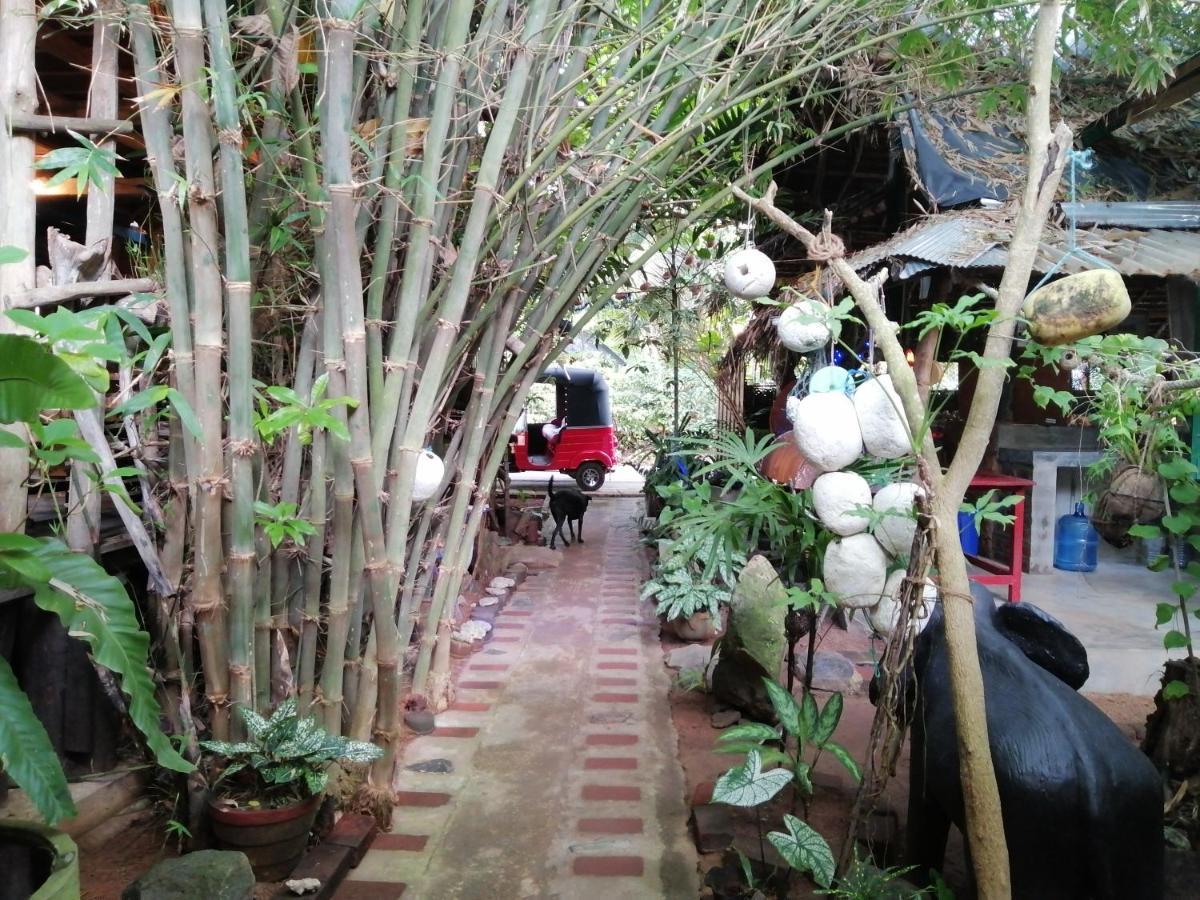 Chami'S Place Хиккадува Экстерьер фото